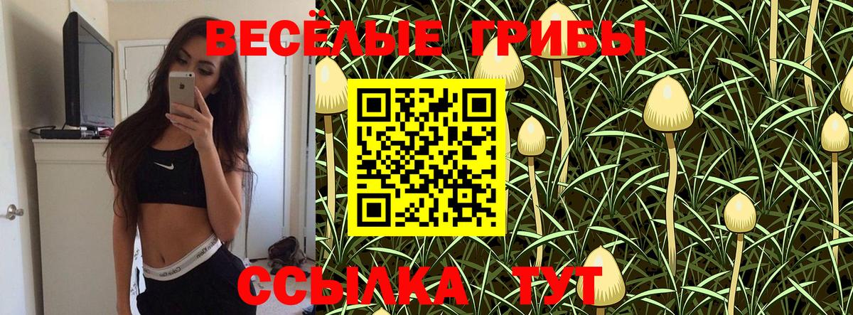 Псилоцибиновые грибы MAGIC MUSHROOMS  даркнет сайт  Псилоцибиновые грибы MAGIC MUSHROOMS  Ростов-на-Дону  Вход с VPN 