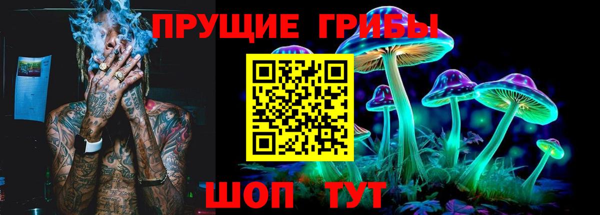 Псилоцибиновые грибы GOLDEN TEACHER Ростов-на-Дону